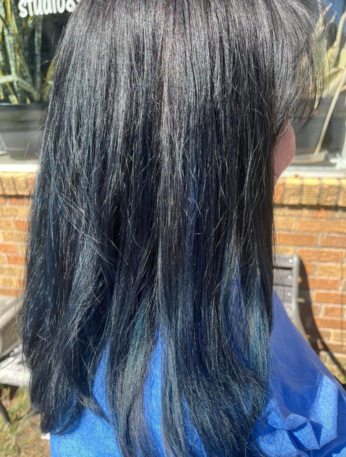 Glossy black hair with subtle blue tones — hair by Tiffany Huber